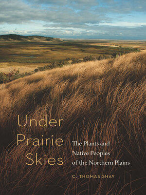 cover image of Under Prairie Skies